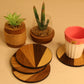 Rays Coaster – Set of 4