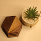 TriTone HexaWood Coaster – Set of 4