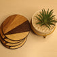 Rays Coaster – Set of 4