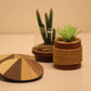 Rays Coaster – Set of 4